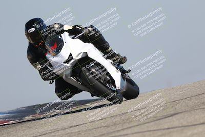 media/Mar-24-2025-2WTD (Mon) [[55b4b08488]]/A Group/11am (Outside Grapevine)/